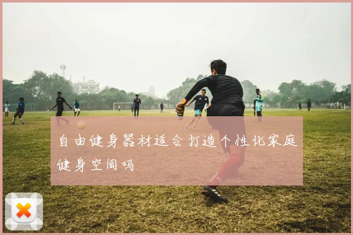 自由健身器材适合打造个性化家庭健身空间吗